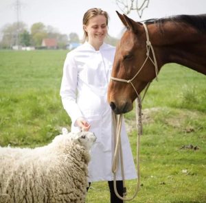 Donna in labjas met een schaap en een paard