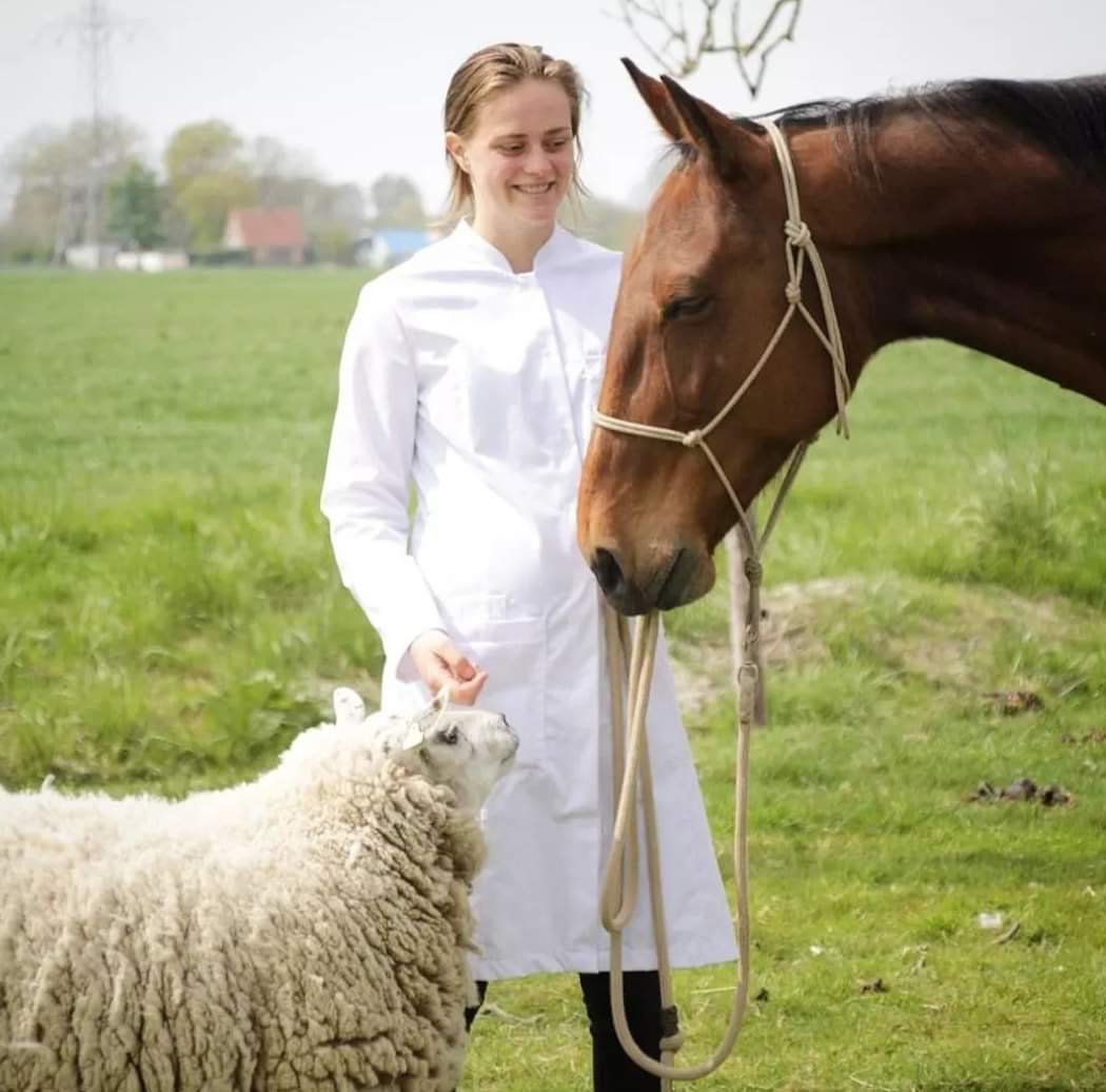 Donna in labjas met een schaap en een paard