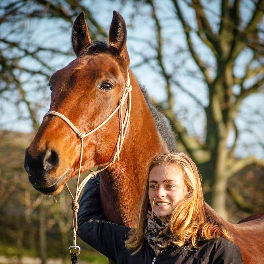 Donna met een bruin paard in de wei